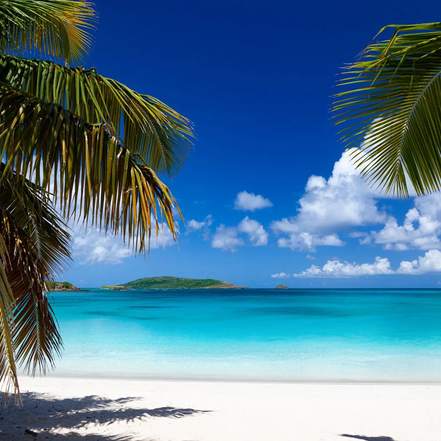 Flying Puerto Rico with Saint Barth Executive